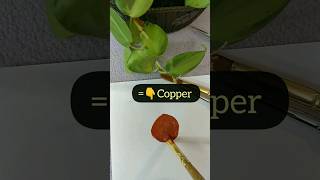 How to make Copper acrylic colour #acrylic #howto #copper #shorts #subscribe #colors