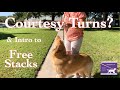 Dog Show Tips & Tricks: Courtesy Turns & Intro to Free Stacks