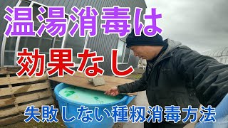 【米作り】失敗しない種子消毒のやり方！