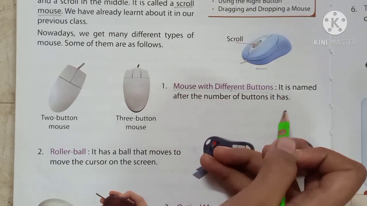 Computer Mouse Grade 1 At Brenda Norris Blog