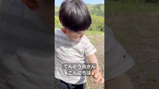 てんとう虫、2歳児の手から服へ！ #自然の驚き #子供と昆虫 #親子の探検