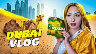 AİLEMLE DUBAİ VLOGU! HABİBİ COME TO DUBAI