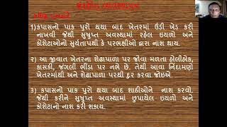 કપાસમાં ગુલાબી ઇયળ નિયંત્રણ