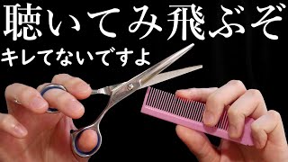 ASMR 高速で切るハサミとクシの音 Scissors Sounds