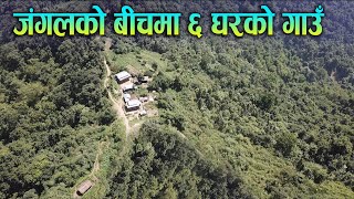 घनाजंगलको बीचमा ६ घरको सुन्दर गाउँ, जहाँ एउटा स्कुल पनि छ | Saptarangi Ojhelka Khabar