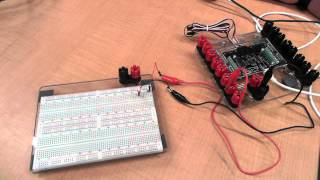 EECS 1021: Lab 1 Hello Java (LEd blinking 8 times)