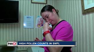 High pollen counts in Southwest Florida