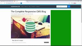 CMS Fetching Comment From Database Using PHP