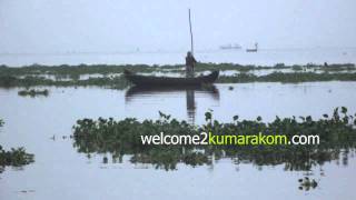 Kumarakom : The Capital of Gods Own Country