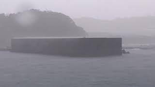 豪雨の中でのサビキ釣り