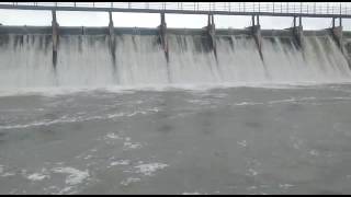 Terna dam overflow  तेरणा धरण