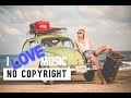 🎵 Scandinavianz - Birds  🎧[No Copyright Music]🎧