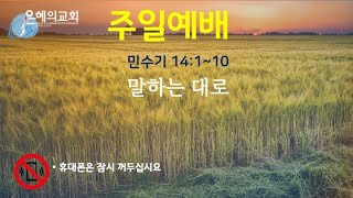 [주일예배] 2024년11월 27일 민수기 14:1~10, 말하는 대로, 