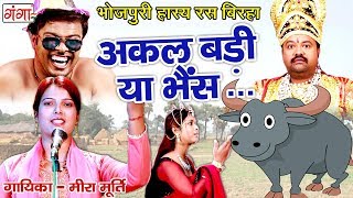 मजेदार भोजपुरी बिरहा - अकल बड़ी या भैंस - Bhojpuri Birha - Mira Murti