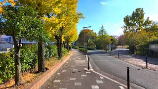 TOKYO Nishigahara Walk - Japan 4K HDR