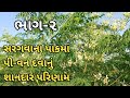 સરગવાના પાકમાં પી-વન દવાનું ખૂબ સારૂ પરિણામ | ખેડૂત અભિપ્રાય | હેલ્પલાઇન:-૯૭૧૪૩૦૨૧૨૨ / ૮૨૦૦૨૪૭૮૨૭ |