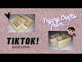 DIY Popsicle Crafts from TIKTOK! l (wowers!) l ROYOSTAR