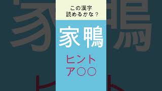 【読めたらすごい!漢字クイズ 】家鴨　読めるかな？