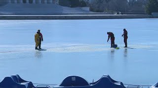 Dive team takes advantage of icy condition at the Tidal Basin