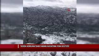 ‘Doğa Koruma’dan yaban hayatına yem desteği