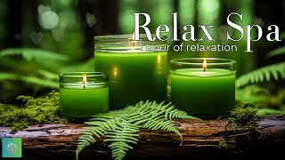 Relax & Enjoy Stress - Relieving Tunes With Spa Massage Services For A Comfortable, Positive Spirit.