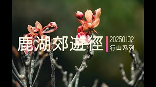 【行山】20250102-鹿湖郊遊徑[4K]