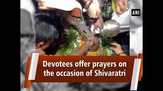 Devotees offer prayer on the occasion of Shivaratri - #ANI News