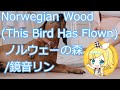 【カバー】Norwegian Wood (This Bird Has Flown) ノルウェーの森/鏡音リン（原曲：The Beatles）