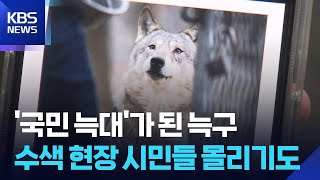 대한민국은 ‘늑구’ 열풍…트랩에 접근하는 건 금물 / KBS  2026.04.16.