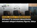 Madlanga Commission | Witness F is common denominator between alleged shadowy figures, Sibiya