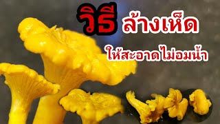 Ep. 22 | ล้างเห็ดยังไงไม่ให้อมน้ำ