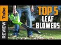 ✅Leaf Blower: Best Leaf Blower (Buying Guide)