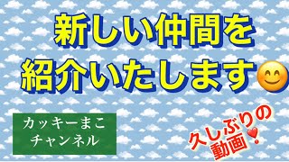 新しい仲間を紹介します😊