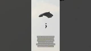 What Happens If You Fall From a Plane? ✈ (The Shocking Truth) #skydiving #freefalling #whathappensif