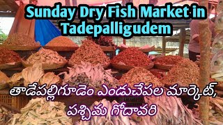 Sunday Dry Fish, Fishes Market in Tadepalligudem ||West Godavari | Variety Dry Fish | Usha House