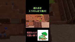 とうせんぼう集#2 【ポケモン】【ダイパリメイク】【連れ歩き】#shorts #ポケモン #ダイパリメイク