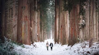 A scenic journey through Japan | silent peaceful vlog