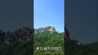 정윤선(김미성) 노래모음 - 먼훗날