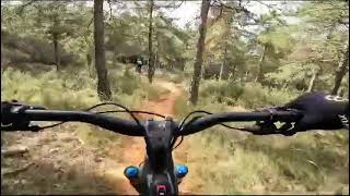 Mountainbike pallars. Tremp