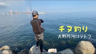 【チヌ釣り】短時間勝負！チヌは釣れるのか？【大野川河口】