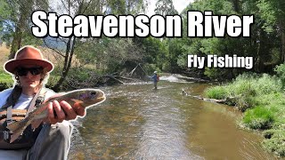 Fly Fishing the Steavenson River