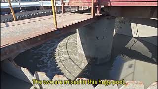 Paper mill wastewater treatment