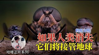 【超級螞蟻】用了3000萬年發展出農業和畜牧業：距離接管地球只差人類消失了|哈嘍|2023/06/24|也許它們才是正常的進化速度