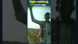 గొర్రెల కాపరులపై vdc పెద్దల పెత్తనం ||Gorrela Kaparulu ||@yadavvisiontelugu #news #agriculture