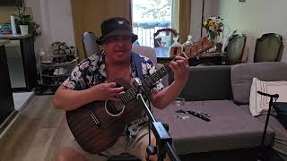 Plush Stone Temple Pilots Cover