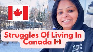 Struggles Of Living In Canada | Making Aaloo Paratha on Weekend | Shovelled Snow @canadavlogs2076