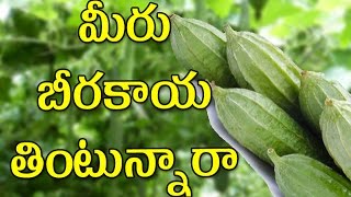 Health TIps In Telugu || Health Benfits Of Ridge Gourd || బీరకాయ తినడం వాళ్ళ కలిగే ప్రయోజనాలు