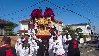 「伊予三島秋祭り2017」天龍具定太鼓台 地区運行2（プチハプニングあり）