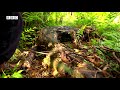 vanilla thieves of madagascar full documentary bbc news