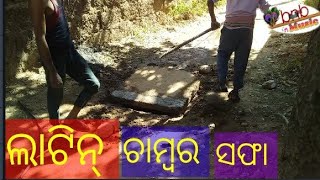 ଲାଟିନ୍ ଚାମ୍ବର ସଫା ପରିବେଶକୁ ସୁସ୍ଥ ରଖିବା ପାଇଁ ଏମାନଙ୍କ//latin chamber sapha paribes ku sustha/bnbmusic